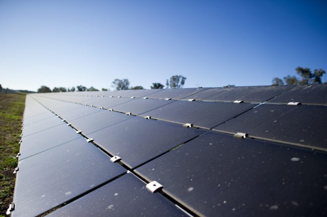 Solar panel used to generate solar power at AI Topper wetblue tannery